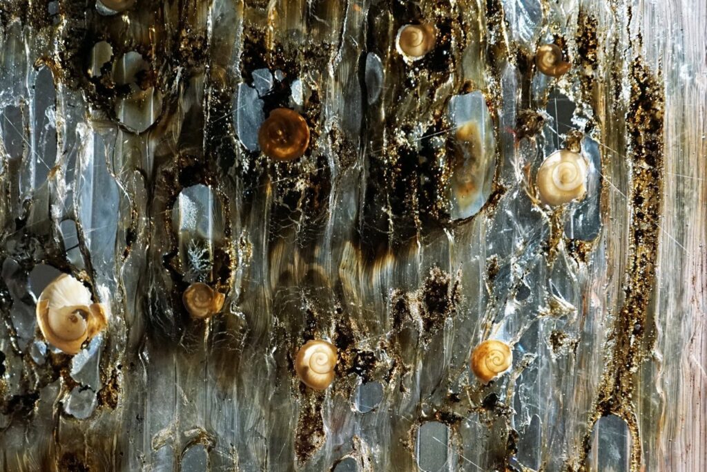Disected Shell Pierre-Alexandre Savriacouty: Iceberg Process 5 - Villa Albertine