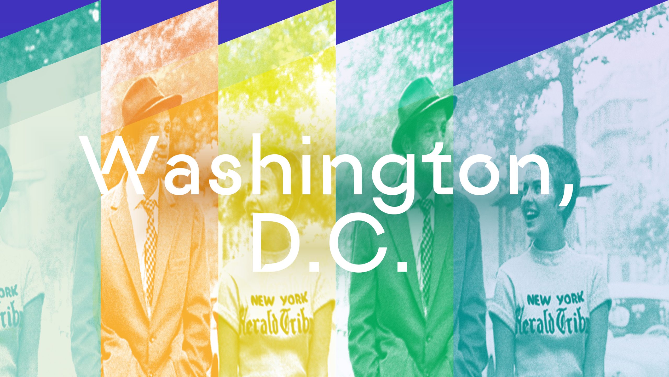 Films On The Green 2026 Washington D C Villa Albertine